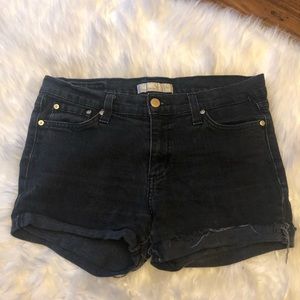 Flying monkey black shorts